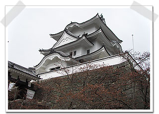 アレスシックイは、三重県にあります伊賀上野城の漆喰壁の改修にも使われており、品質や仕上がりの美しさは、折り紙付きです。